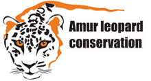 Amur Leopard Conservation Amur Leopard Conservation
