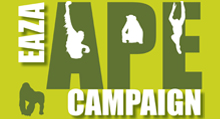 EAZA APE Campaign