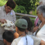 visites guides au zoo de yon