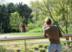 observation plaine