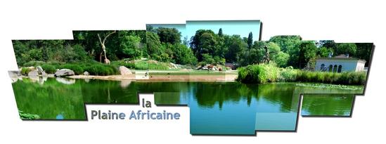 la plaine africaine