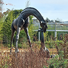 TRAVAUX DE VEGETALISATION