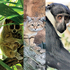 NOUVELLES ARRIV�ES !