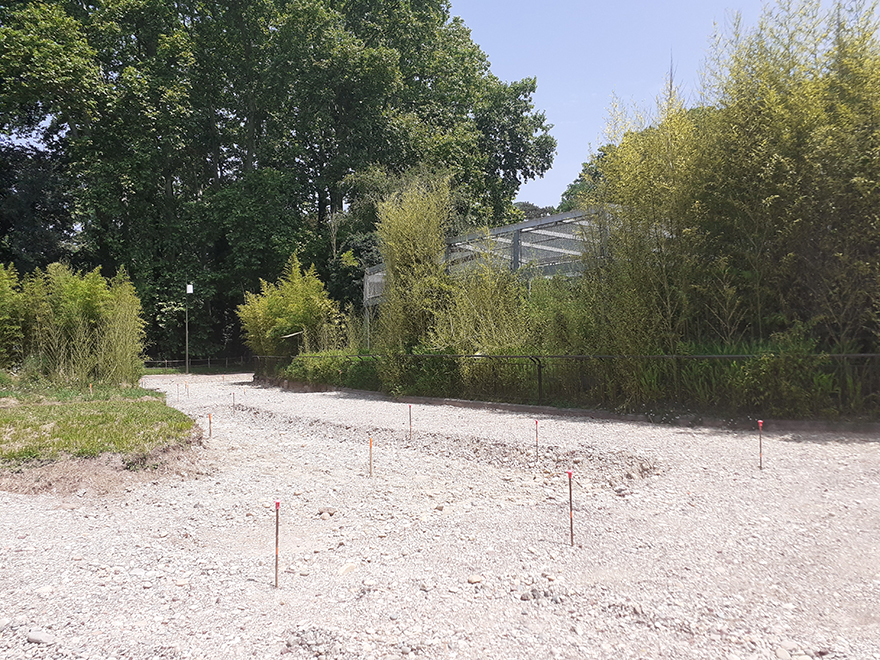 Photo des travaux Photo des travaux