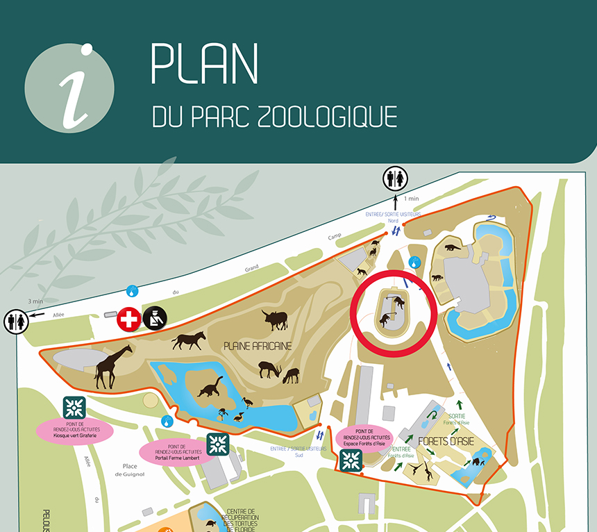 carte du zoo