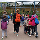 Photo d'un groupe d'enfants en activit au parc zoologique de lyon